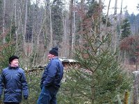 Christbaum07 014
