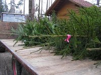 Christbaum07 045