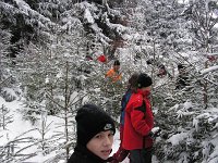 Christbaumverkauf10 009