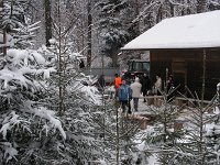 Christbaumverkauf10 011