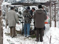 Christbaumverkauf10 013